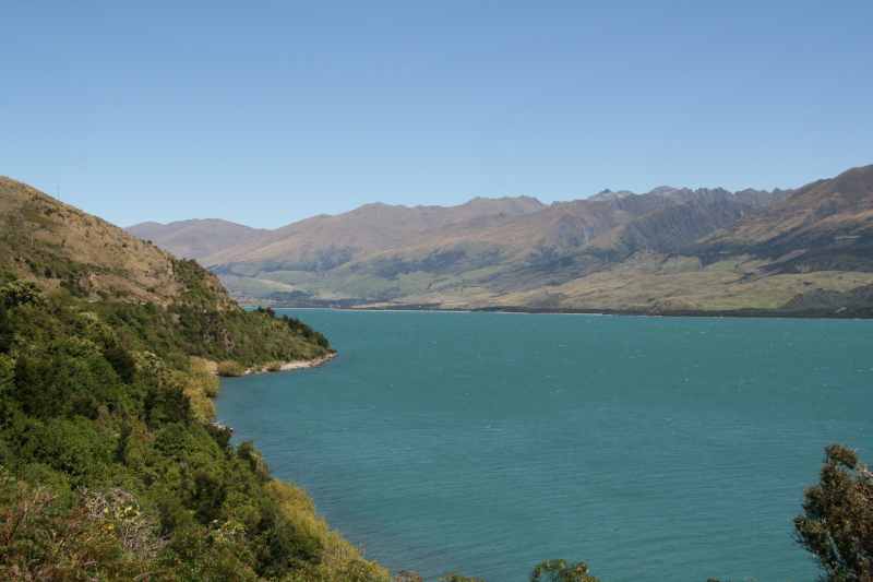 Nieuw-Zeeland 2011 - 1586